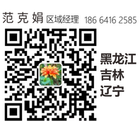 8_缩小大小